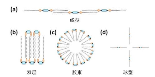 雙子表面活性劑在金屬清洗劑中的抗菌性能研究